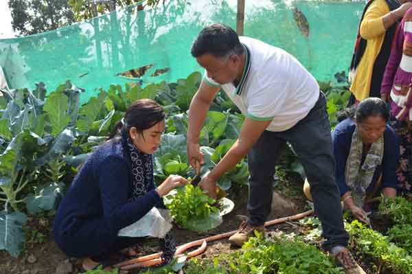 Families planting a kitchen garden